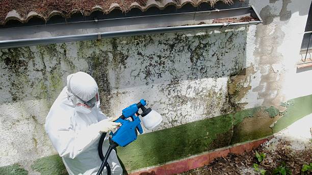 Top rated local Mold Remediation specialists in Oak Grove, TN